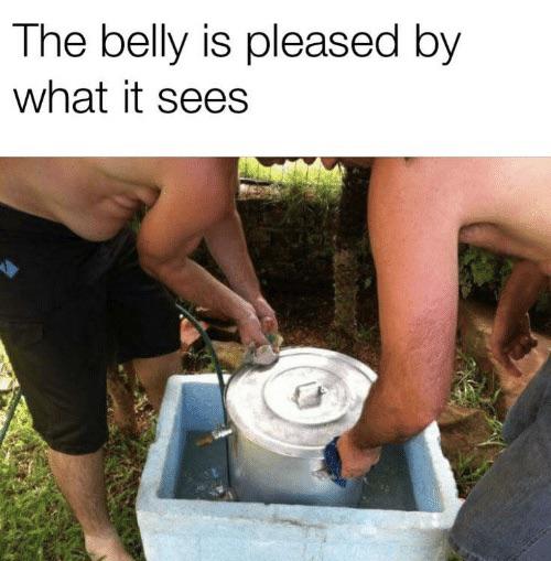 not perfect quotes - The belly is pleased by what it sees