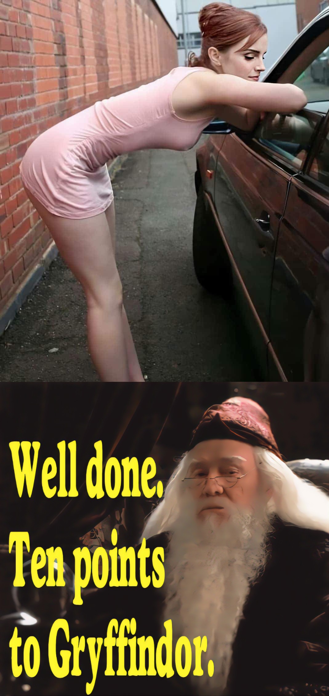 funny memes - photo caption - Well done Ten points to Gryffindor .