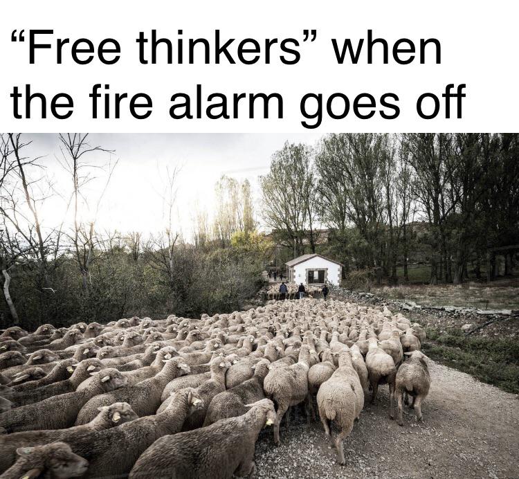herd - G "Free thinkers when the fire alarm goes off