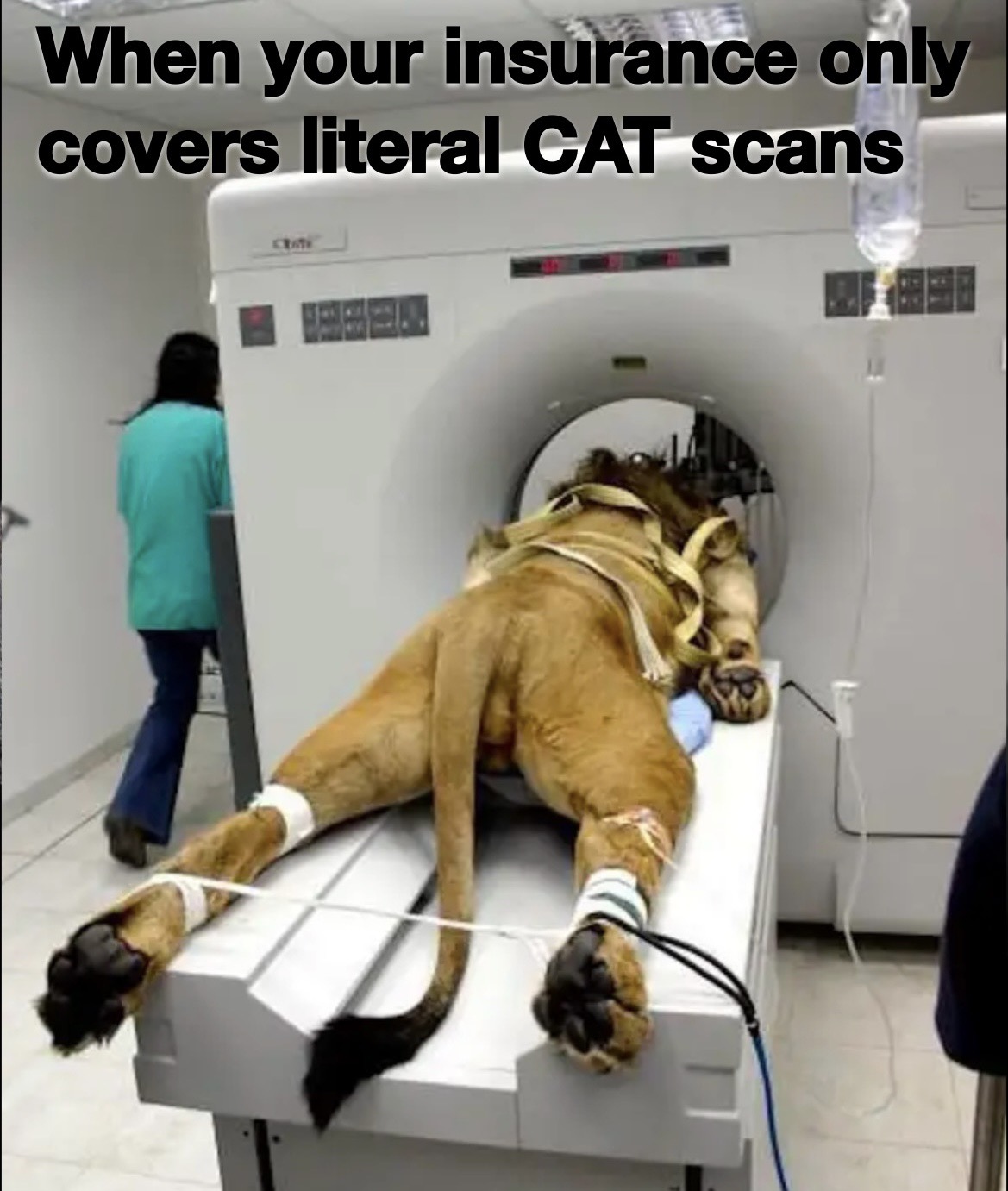 no idea what you re talking about meme - When your insurance only covers literal Cat scans