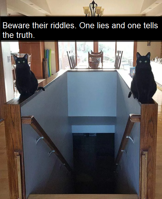 cats guardians of the underworld - Beware their riddles. One lies and one tells the truth.