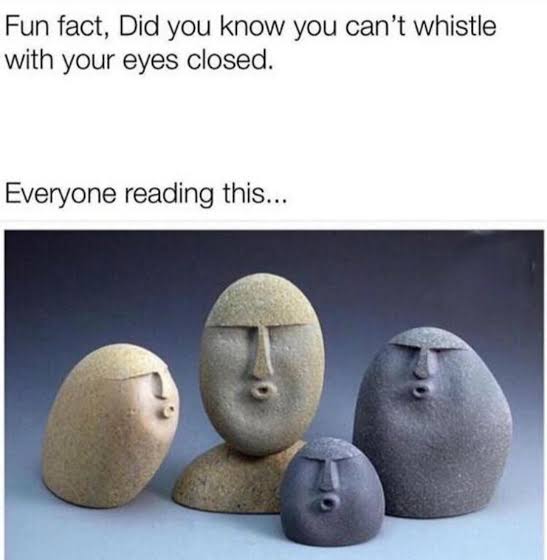 oof meme - Fun fact, Did you know you can't whistle with your eyes closed. Everyone reading this...