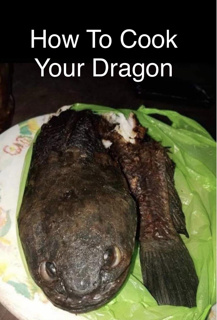 funny memes - social network movie poster - How To Cook Your Dragon