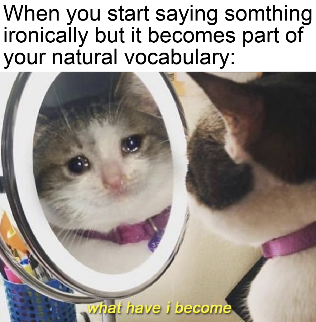 funny memes - have i become meme - When you start saying somthing ironically but it becomes part of your natural vocabulary what have i become