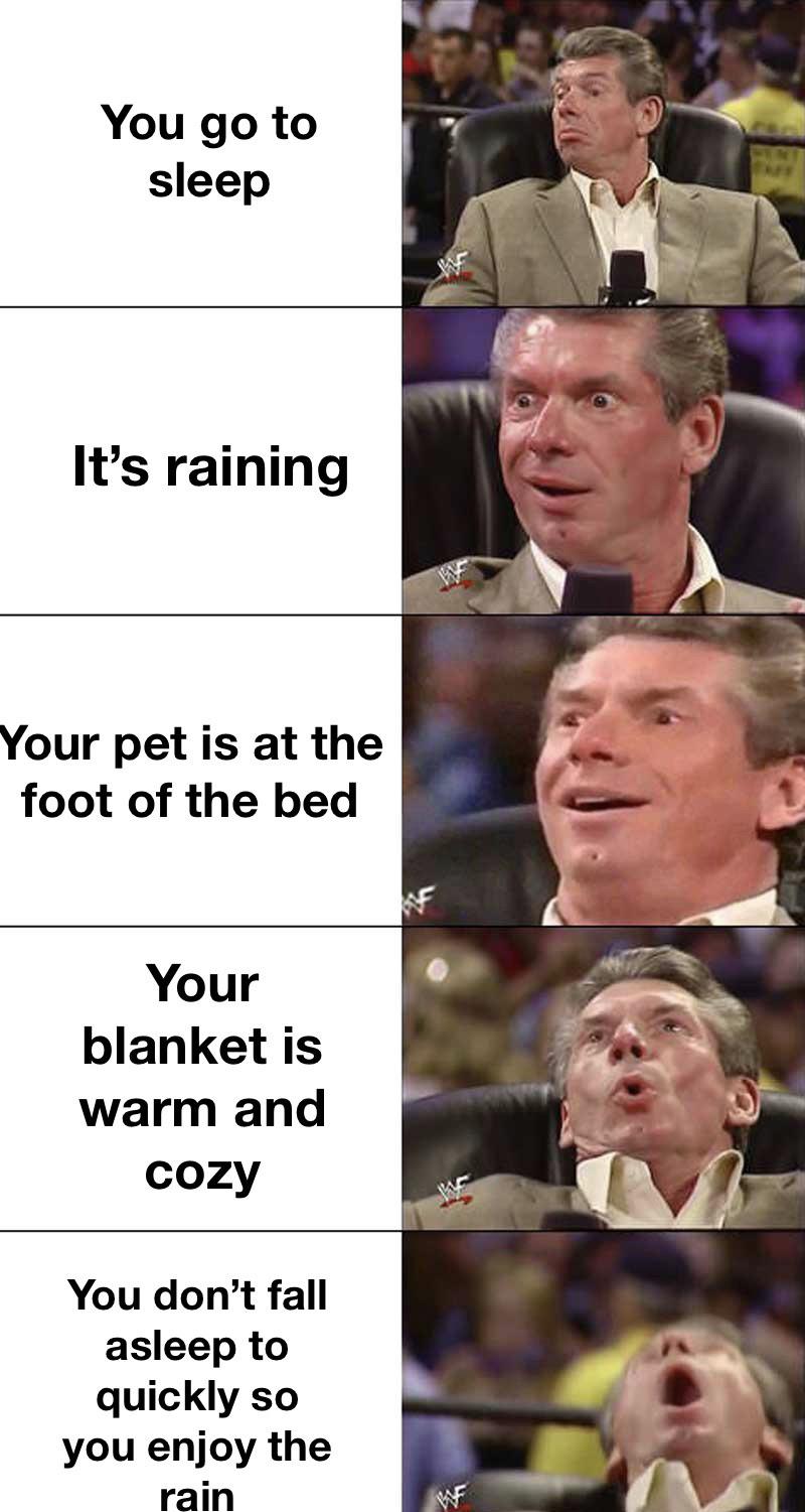 funny memes - university of louisville - You go to sleep It's raining Your pet is at the foot of the bed Your blanket is warm and cozy You don't fall asleep to quickly so you enjoy the rain W