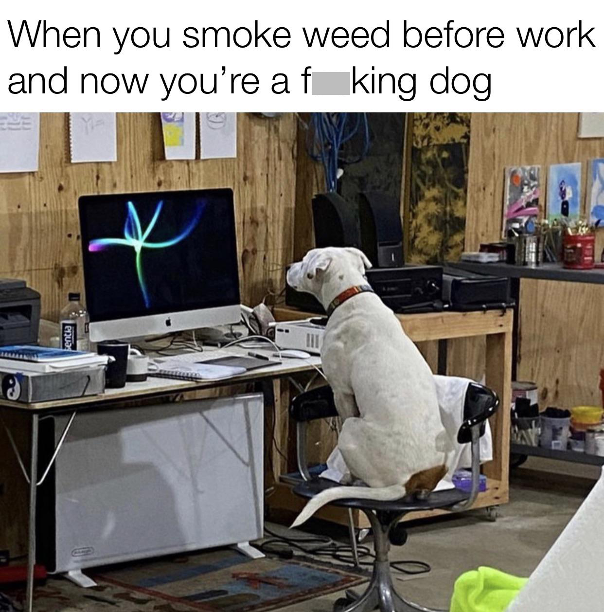 funny memes - child focus - When you smoke weed before work and now you're a f king dog entia 2
