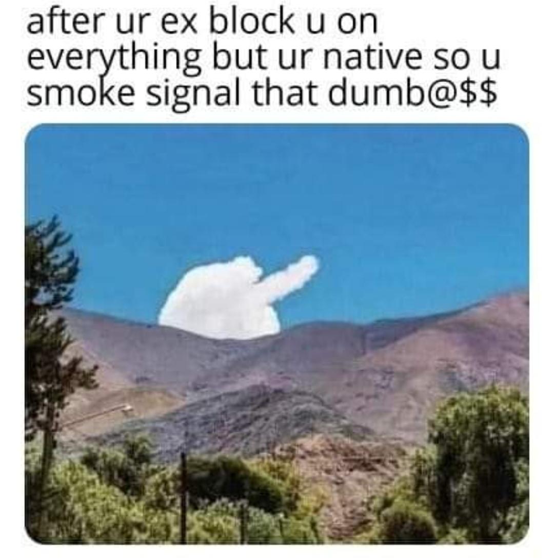 funny memes - just looking for some kinda sign - after ur ex block u on everything but ur native so u smoke signal that dumb @$$