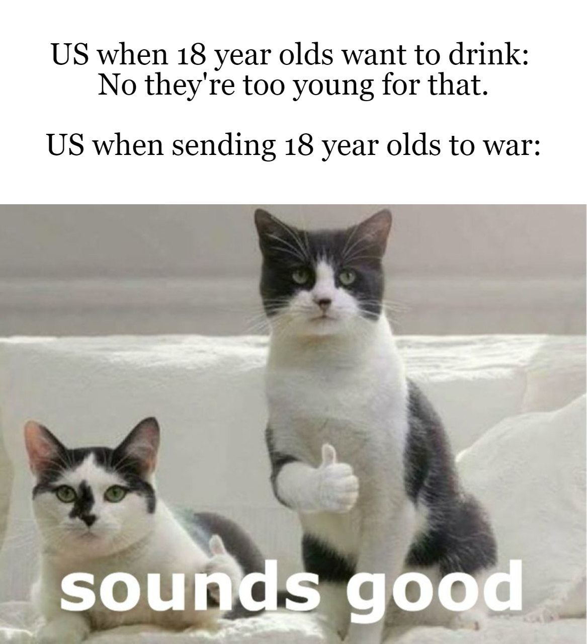 funny memes - quotes - Us when 18 year olds want to drink No they're too young for that. Us when sending 18 year olds to war sounds good