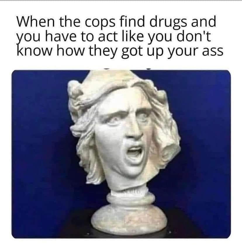funny memes - ny carlsberg glyptotek - When the cops find drugs and you have to act you don't know how they got up your ass