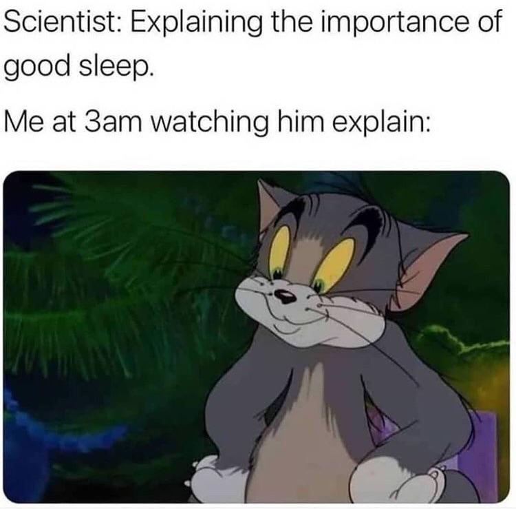 scientist explaining the importance of good sleep - Scientist Explaining the importance of good sleep. Me at 3am watching him explain