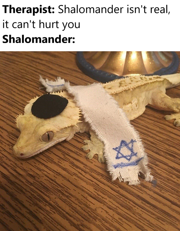 shalomander meme - Therapist Shalomander isn't real, it can't hurt you Shalomander