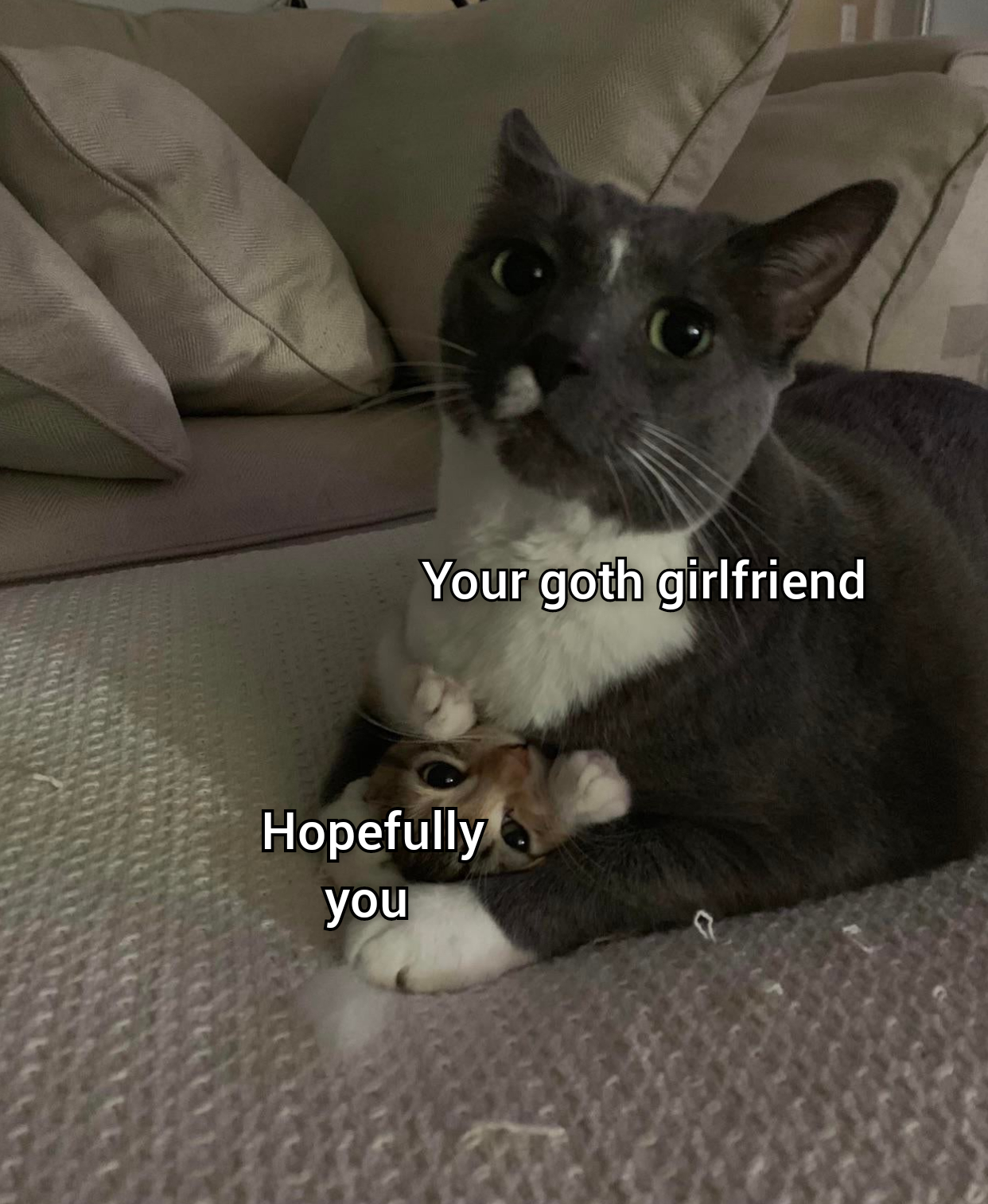 Lolcat - Your goth girlfriend Hopefully you