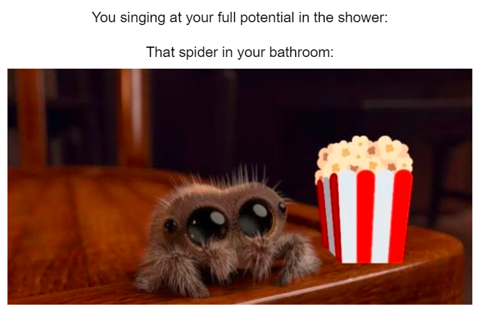 photo caption - You singing at your full potential in the shower That spider in your bathroom 1