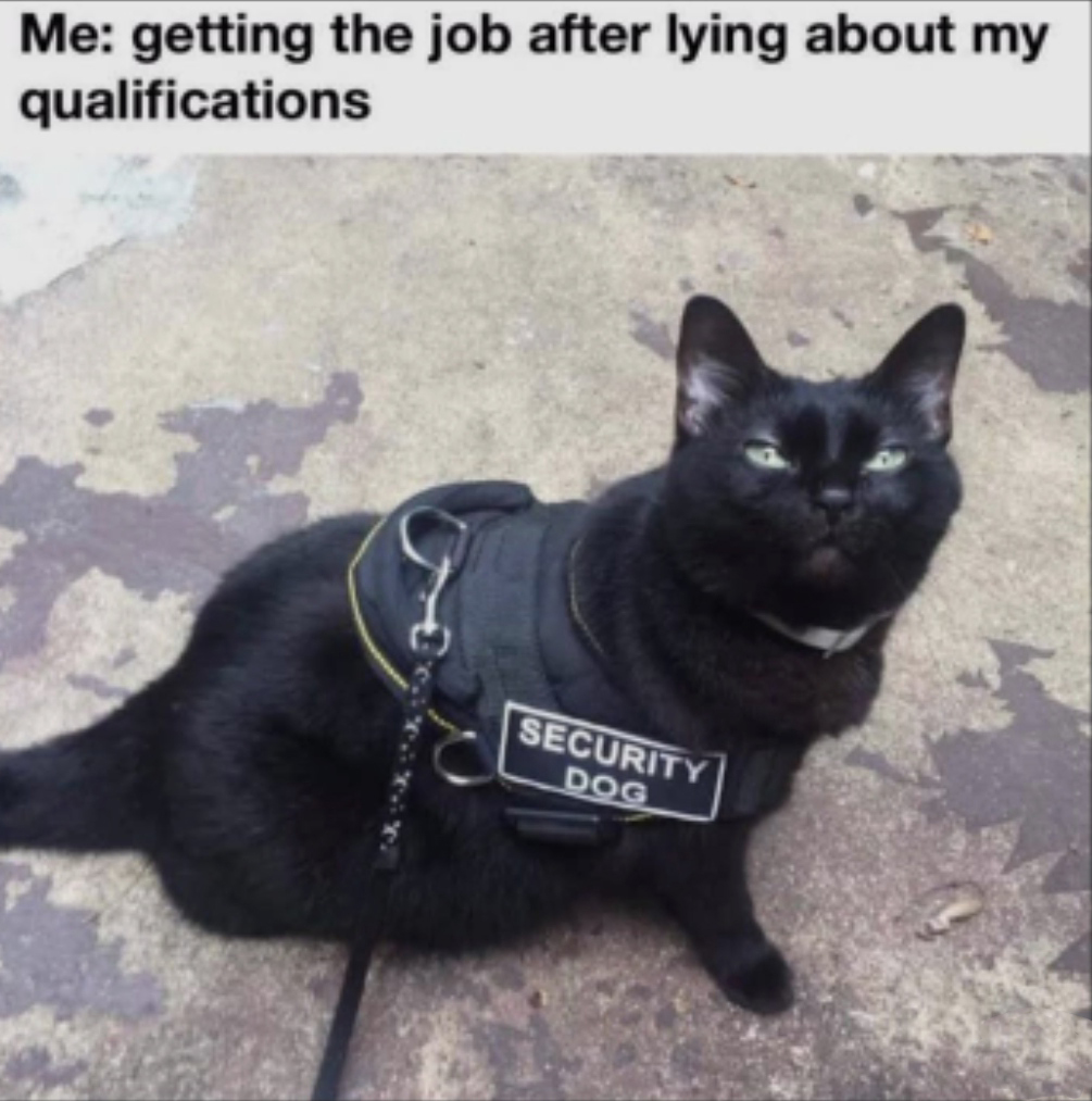 hilarious memes - cats with jobs - Me getting the job after lying about my qualifications Security Dog