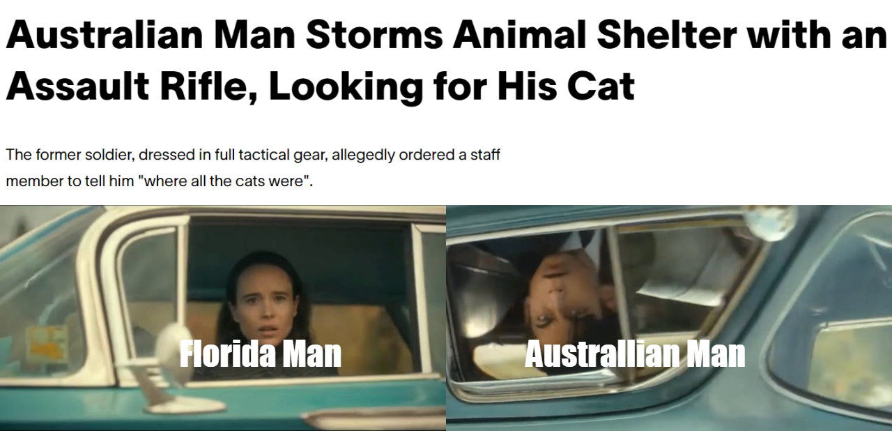 dank memes -  Australian Man Storms Animal Shelter with an Assault Rifle, Looking for His Cat The former soldier, dressed in full tactical gear, allegedly ordered a staff member to tell him