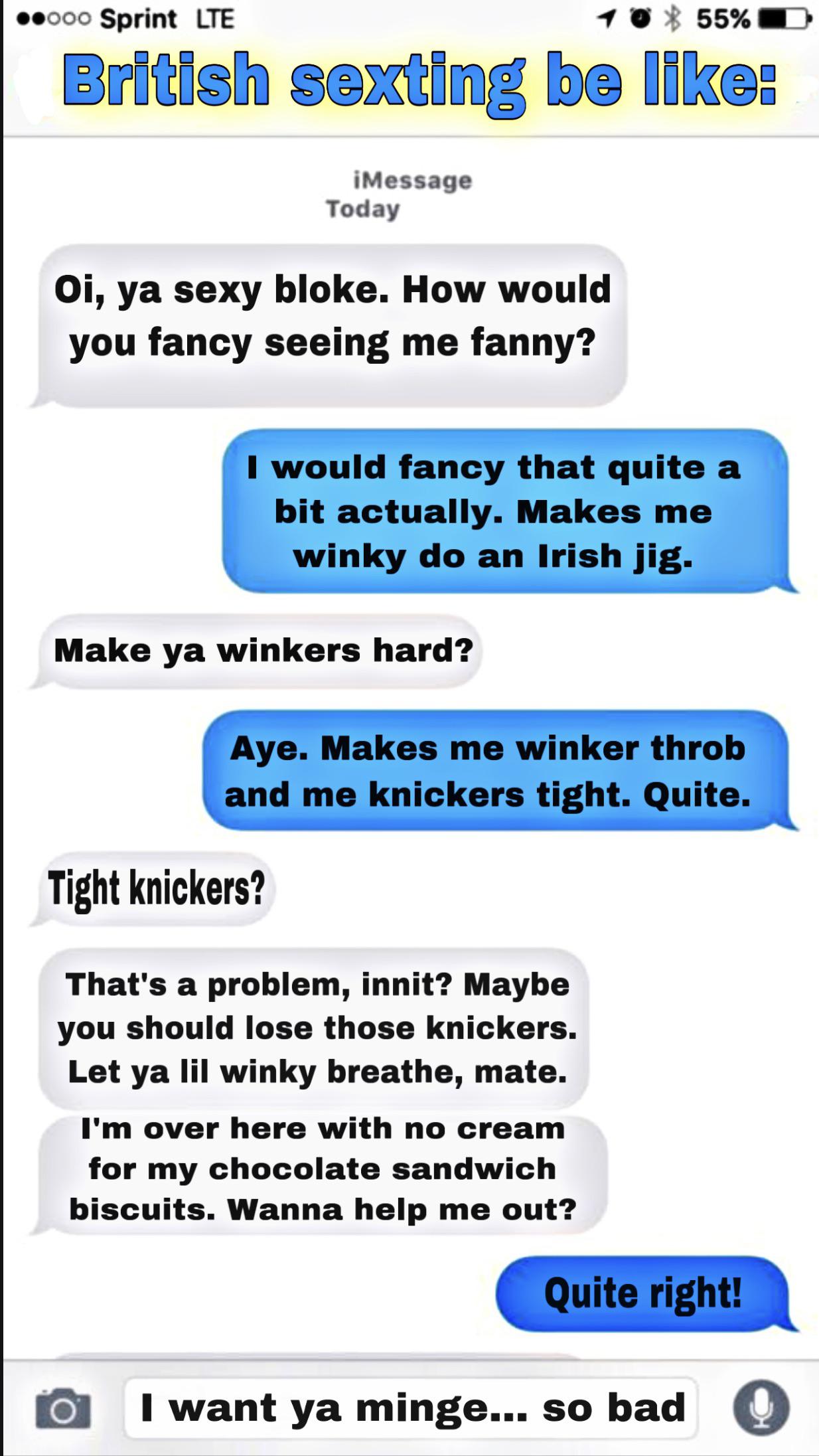 dank memes - web page - 000 Sprint Lte 55% British sexting be iMessage Today Oi, ya sexy bloke. How would you fancy seeing me fanny? I would fancy that quite a bit actually. Makes me winky do an Irish jig. Make ya winkers hard? Aye. Makes me winker throb