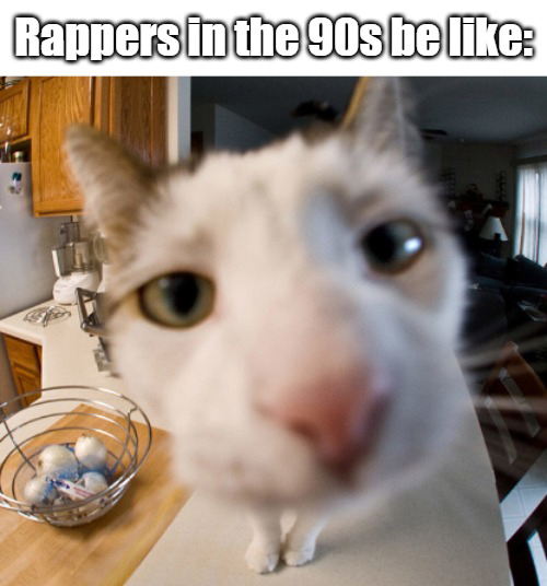 dank memes - cat sniffing camera gif - Rappers in the 90s be