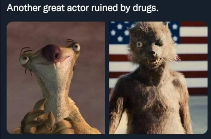 dank memes - suicide squad weasle - Another great actor ruined by drugs.