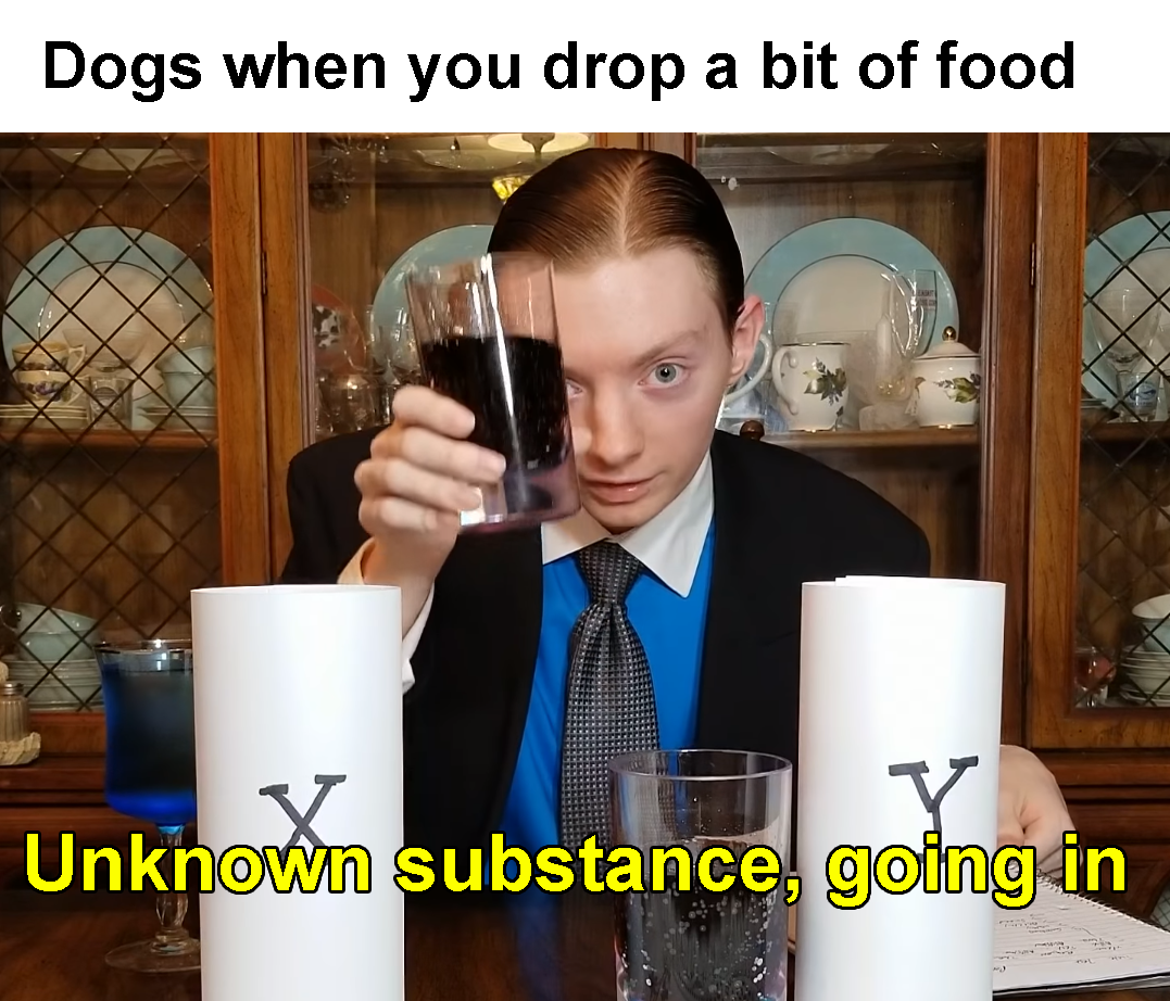 fresh memes - see what you did there - Dogs when you drop a bit of food V Unknown substance, going in n