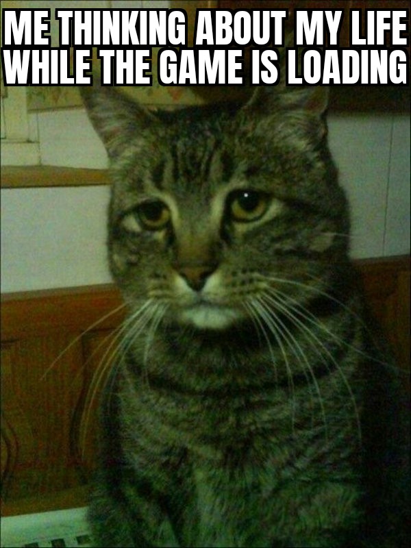 fresh memes - depressed cat meme - Me Thinking About My Life While The Game Is Loading