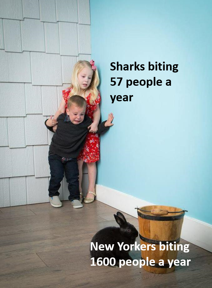fresh memes - kids scared of rabbit meme - Sharks biting 57 people a year New Yorkers biting 1600 people a year