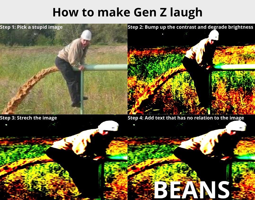 fresh memes - beans gen z - How to make Gen Z laugh Step 1 Pick a stupid image Step 2 Bump up the contrast and degrade brightness Step 3 Strech the image Step 4 Add text that has no relation to the image Beans