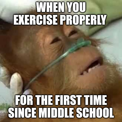 charlie sheen meme - When You Exercise Properly For The First Time Since Middle School