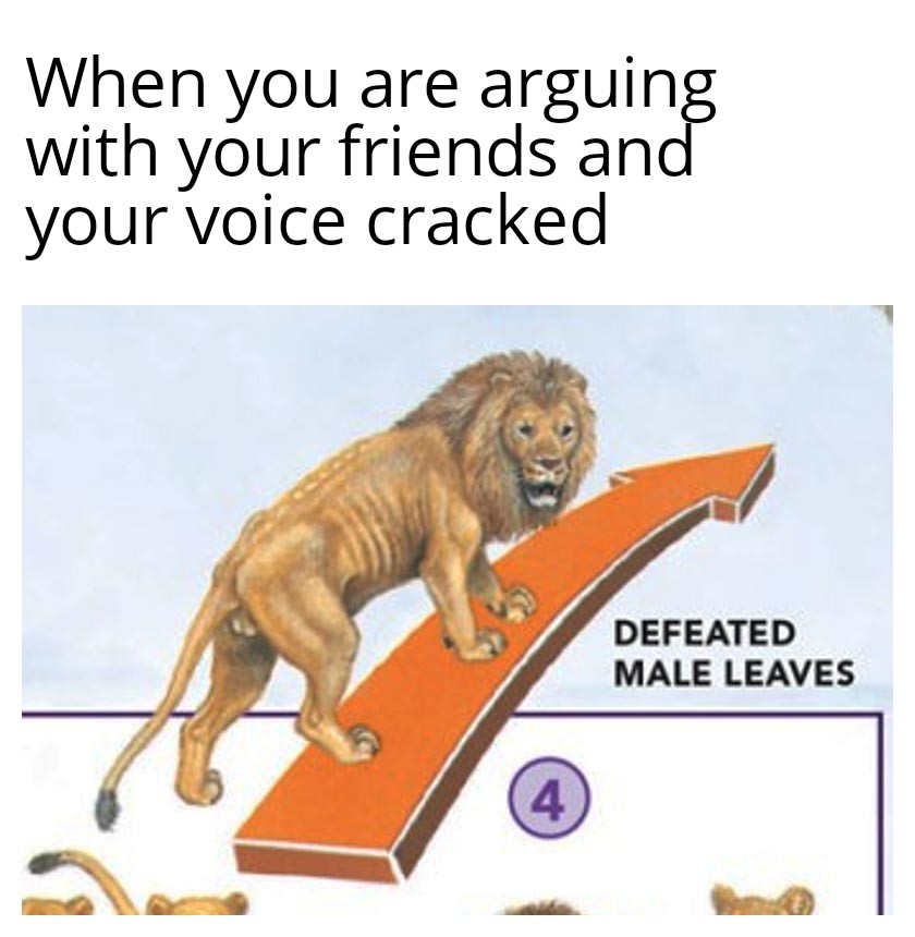funny memes - defeated male leaves meme - When you are are arguing with your friends and your voice cracked Defeated Male Leaves 4