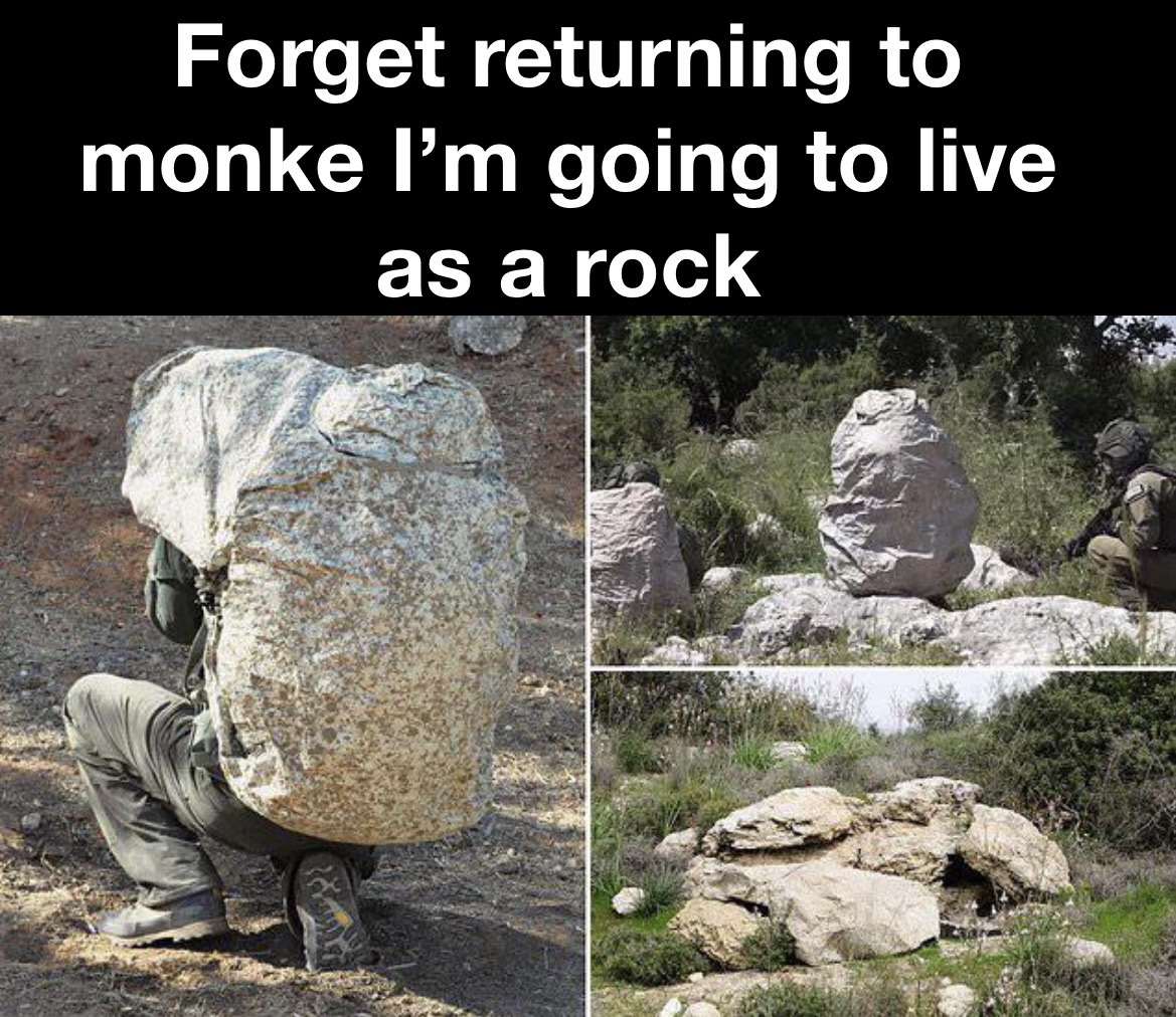 funny memes - israel new camouflage technology - Forget returning to monke I'm going to live as a rock