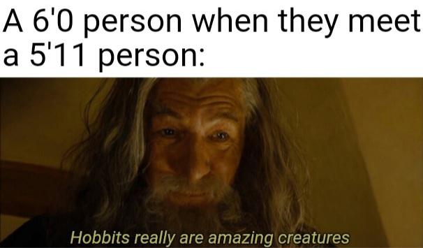 photo caption - A 6'0 person when they meet a 5'11 person Hobbits really are amazing creatures