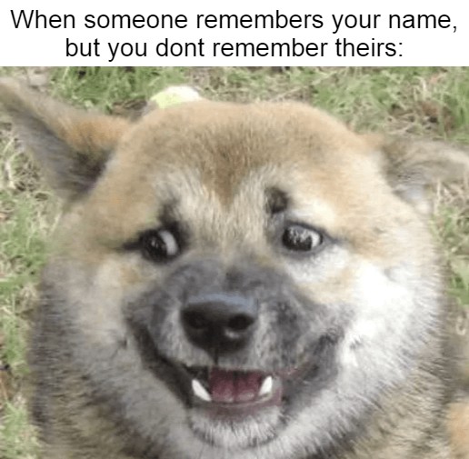dank memes - funny memes - shiba inu reaction - When someone remembers your name, but you dont remember theirs