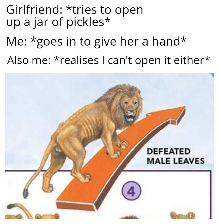 dank memes - funny memes - defeated male leaves meme - Girlfriend tries to open up a jar of pickles Me goes in to give her a hand Also me realises I can't open it either Defeated Male Leaves 4