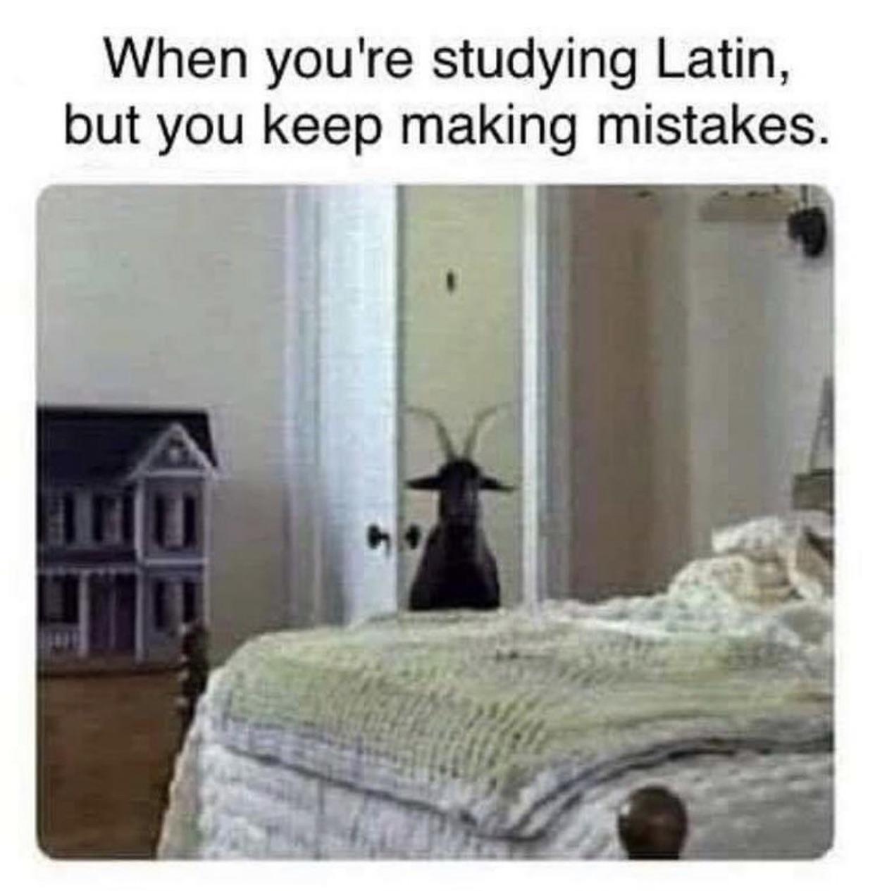 funny memes - dank memes you re studying latin but keep making mistakes - When you're studying Latin, but you keep making mistakes.