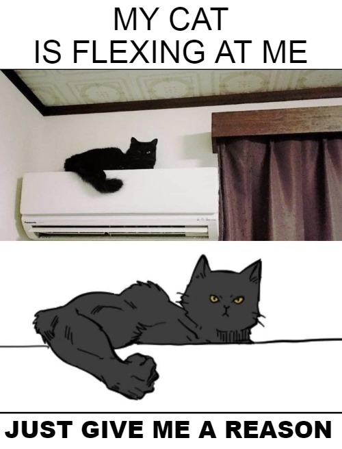 funny memes - dank memes red ring of death - My Cat Is Flexing At Me Just Give Me A Reason