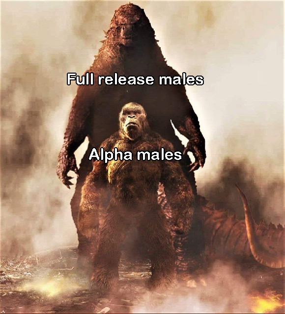 godzilla meme vs kong - Full release males Alpha males