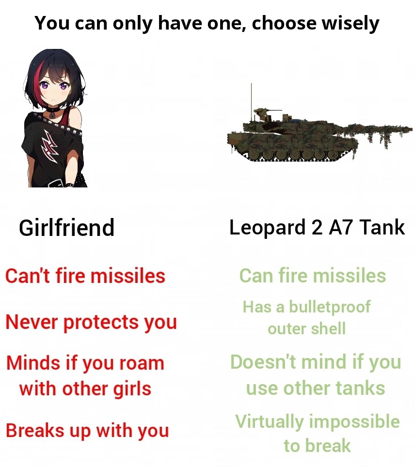 dank memes - funny memes - my girlfriend's boyfriend 2010 - You can only have one, choose wisely Girlfriend Leopard 2 A7 Tank Can't fire missiles Never protects you Minds if you roam with other girls Can fire missiles Has a bulletproof outer shell Doesn't