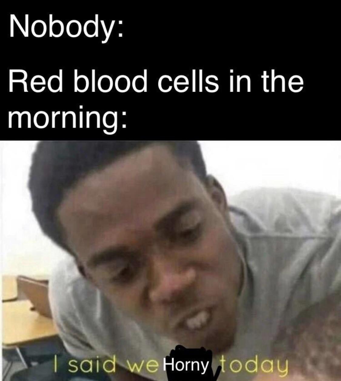 dank memes - funny memes - narcolepsy memes - Nobody Red blood cells in the morning | said we Horny today