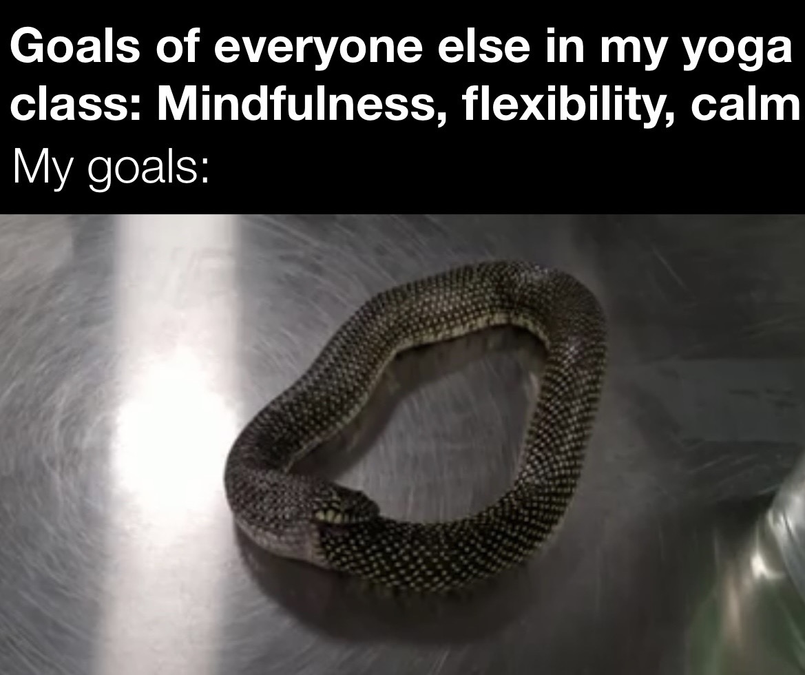 dank memes - funny memes - sign - Goals of everyone else in my yoga class Mindfulness, flexibility, calm My goals