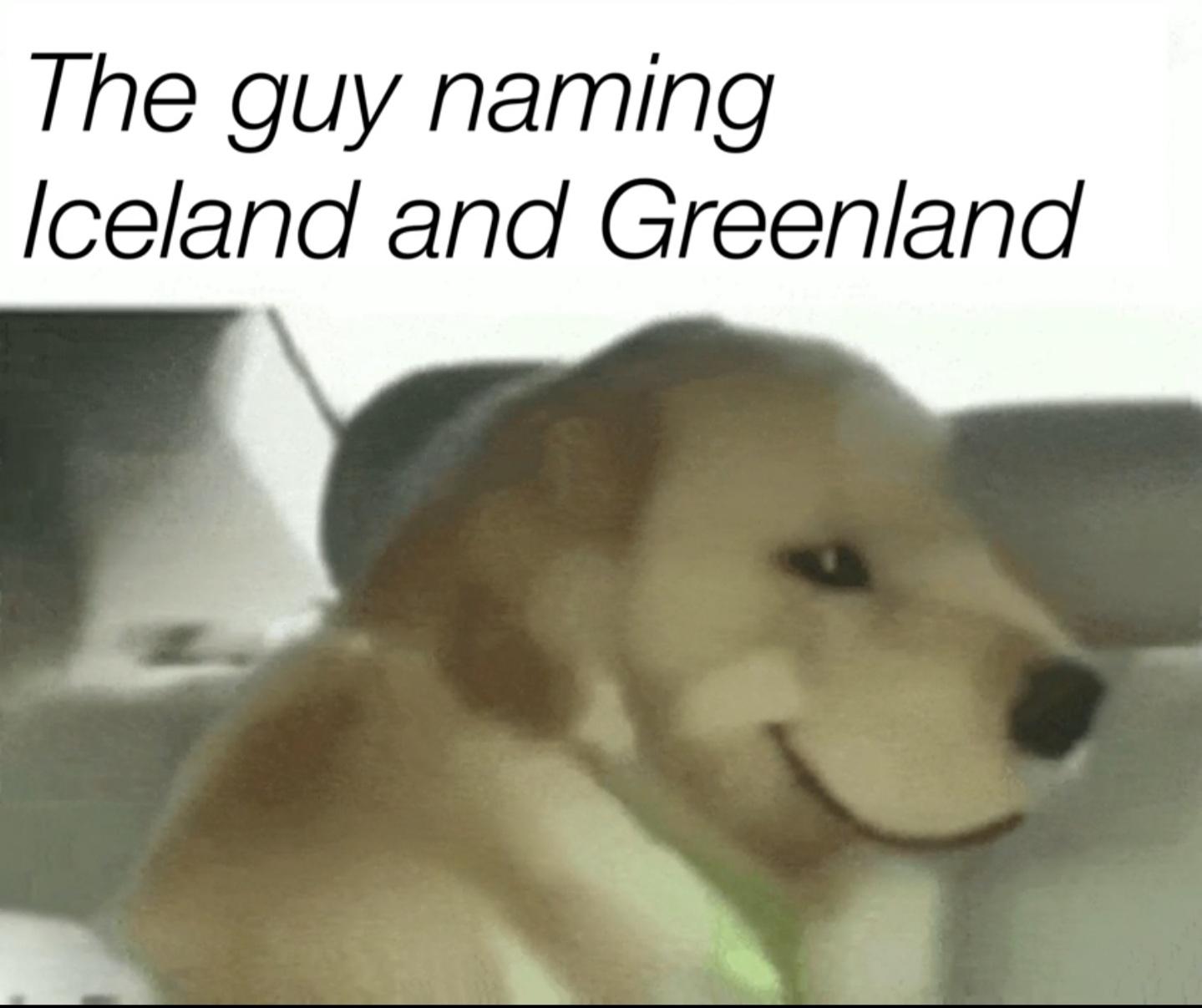 dank memes - funny memes - dog licking face meme - The guy naming Iceland and Greenland