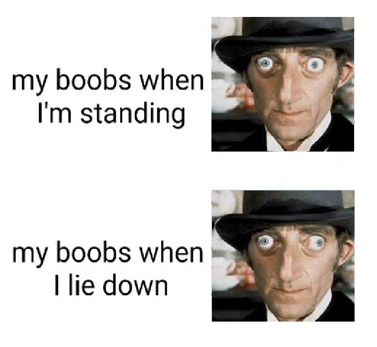 dank memes - photo caption - my boobs when I'm standing my boobs when I lie down