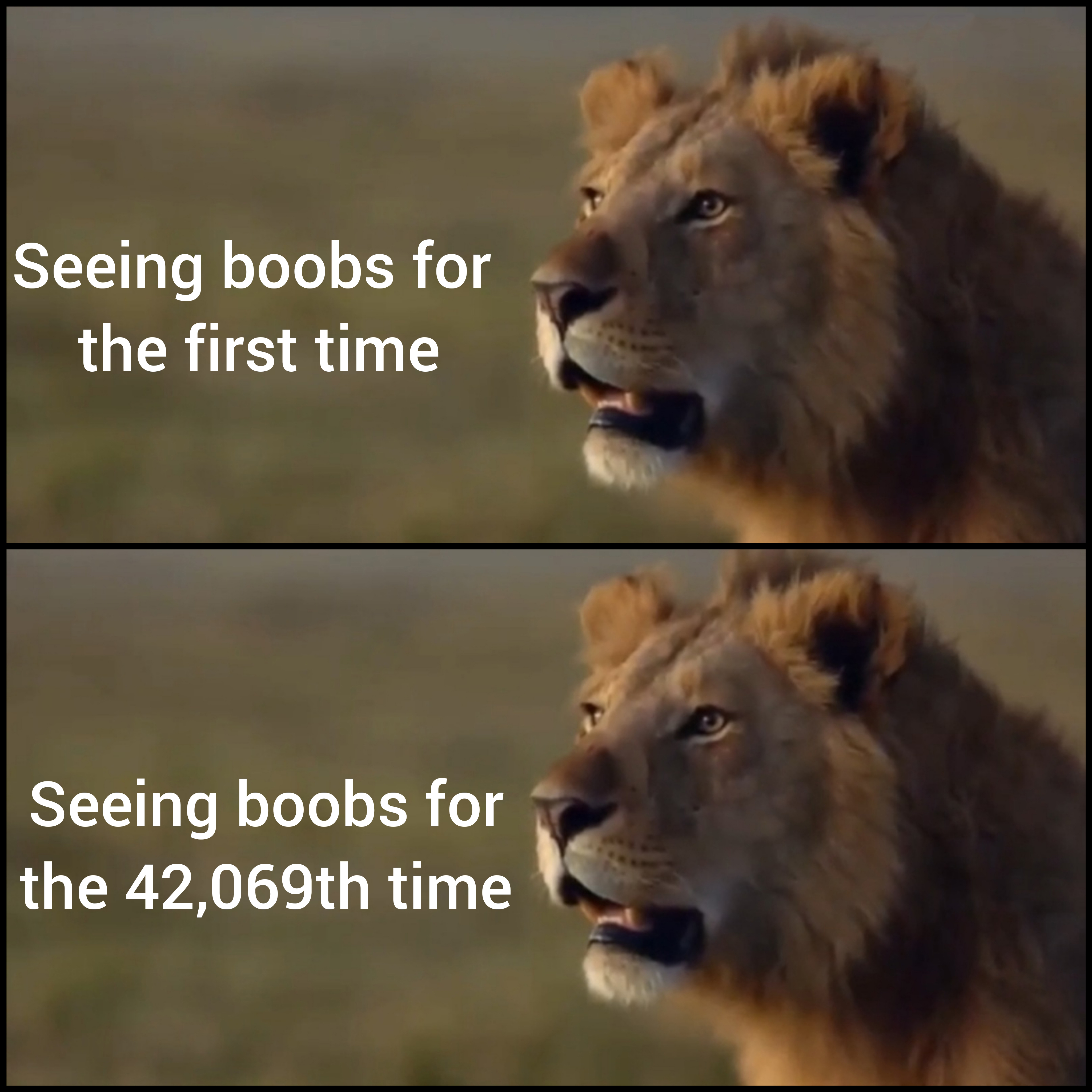 dank memes - Seeing boobs for the first time Seeing boobs for the 42,069th time
