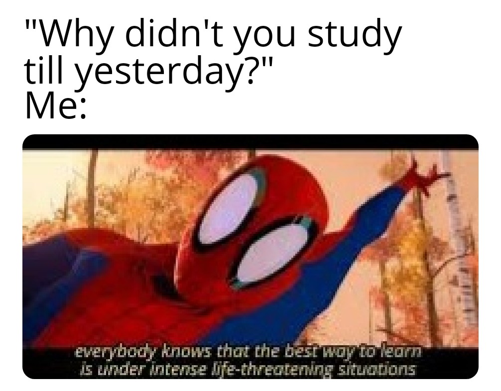 dank memes - spider verse best way to learn - "Why didn't you study till yesterday?" Me everybody knows that the best way to learn is weder intense Ofethreatervine situacions
