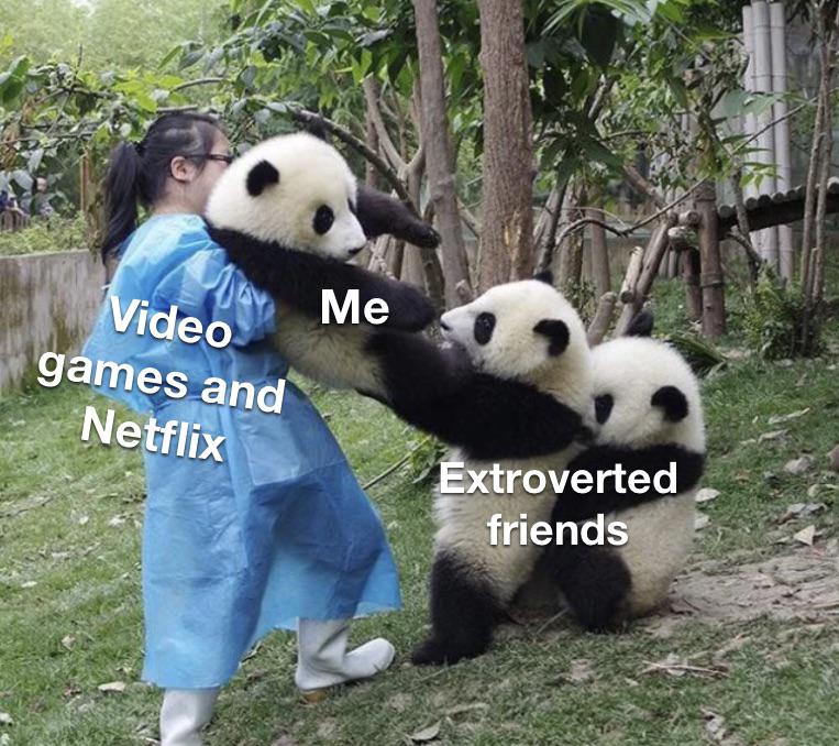 funny memes - pandas graciosos - Me Video games and Netflix Extroverted friends