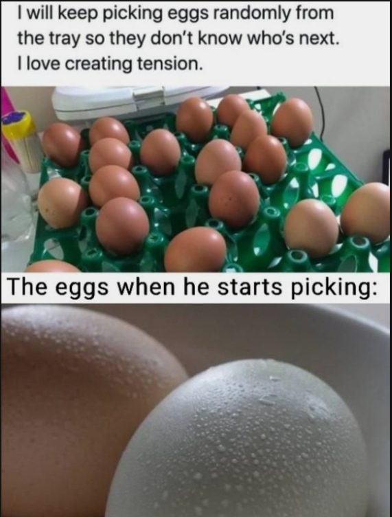funny memes - will keep picking eggs randomly - I will keep picking eggs randomly from the tray so they don't know who's next. I love creating tension. The eggs when he starts picking