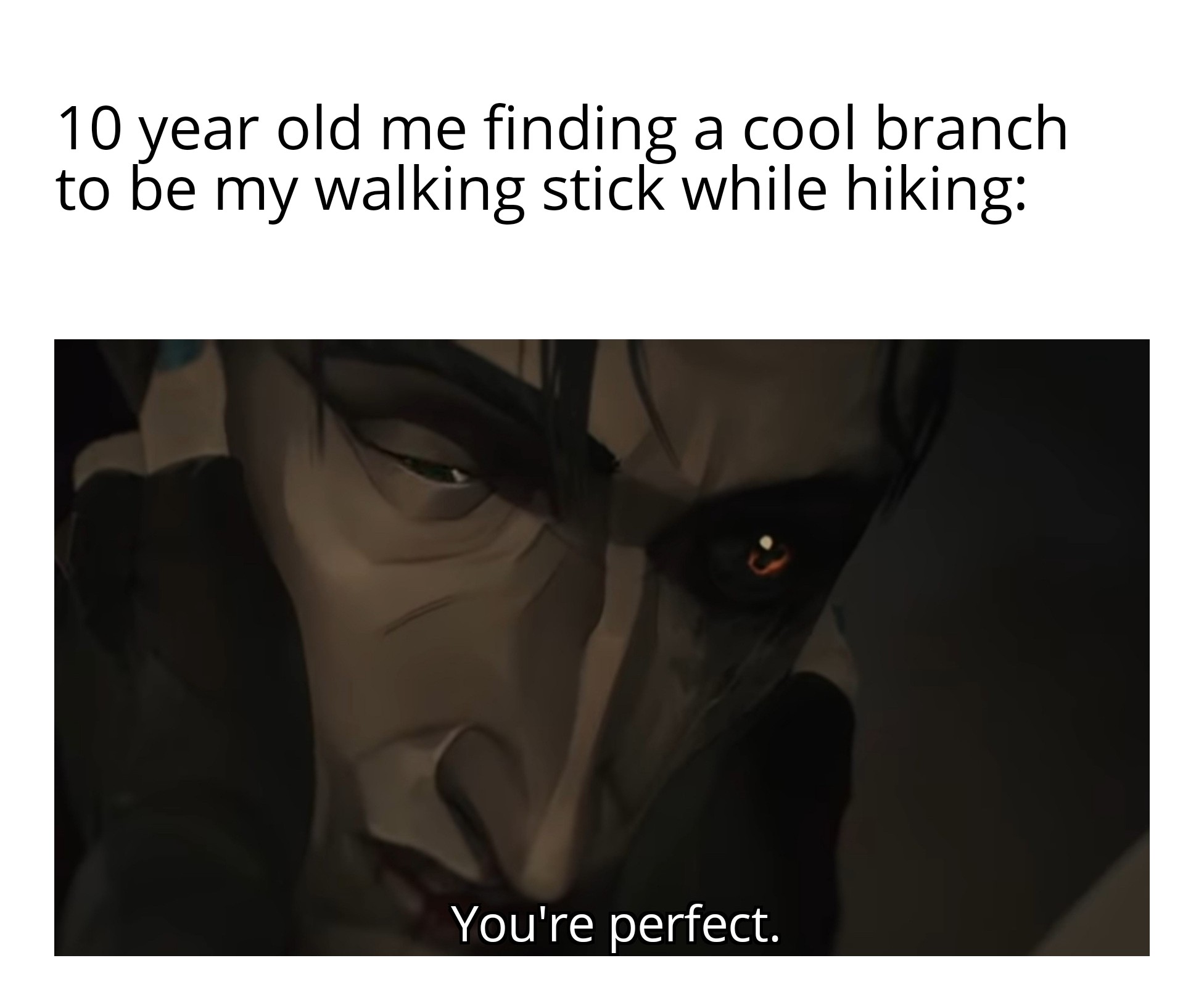 funny memes - photo caption - 10 year old me finding a cool branch to be my walking stick while hiking You're perfect.