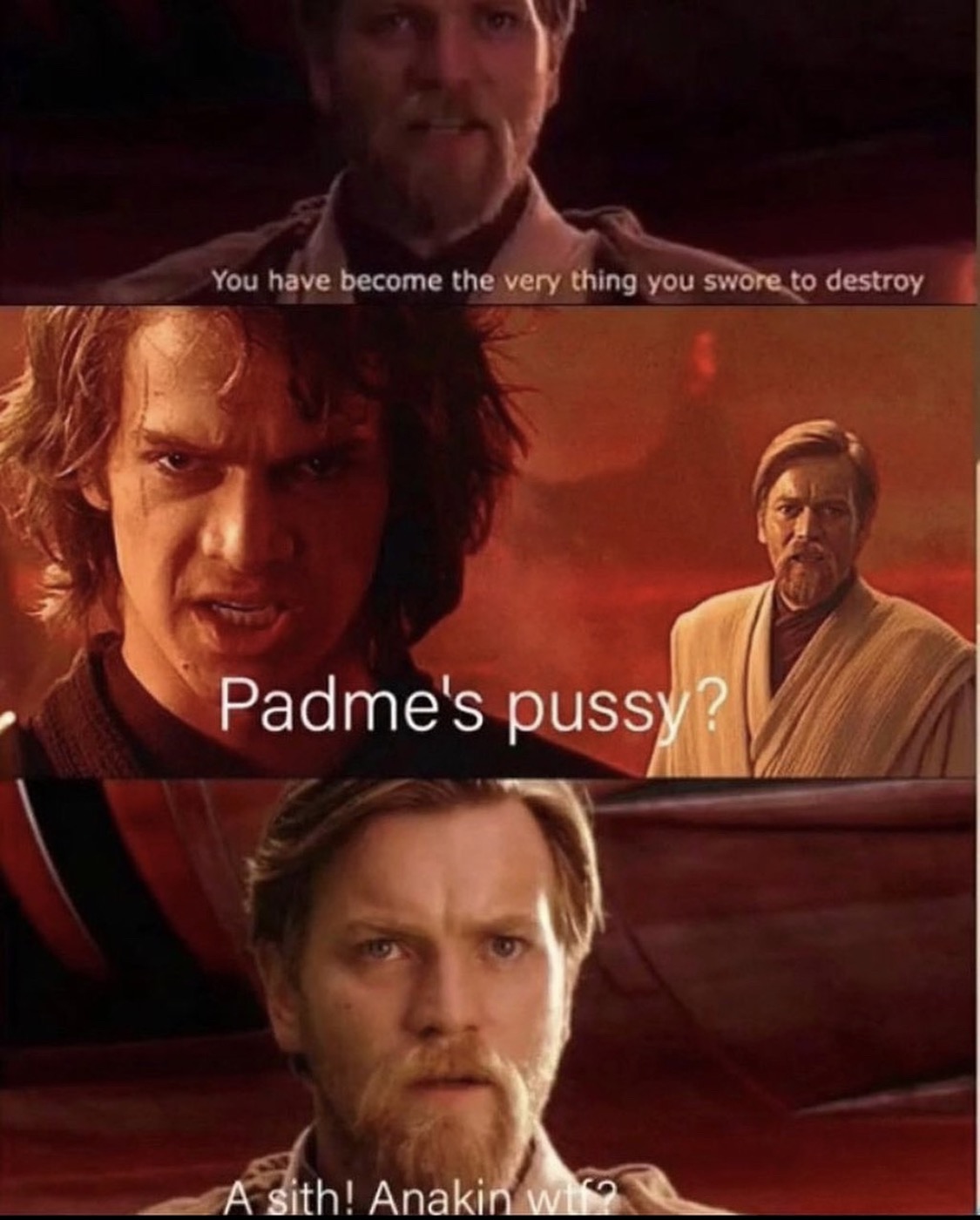 funny memes - Darth Vader - You have become the very thing you swore to destroy Padme's pussy A sith! Anakin wts