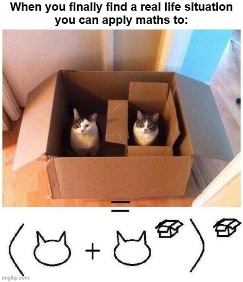 funny memes - math cat meme - When you finally find a real life situation you can apply maths to y you imgflip.com