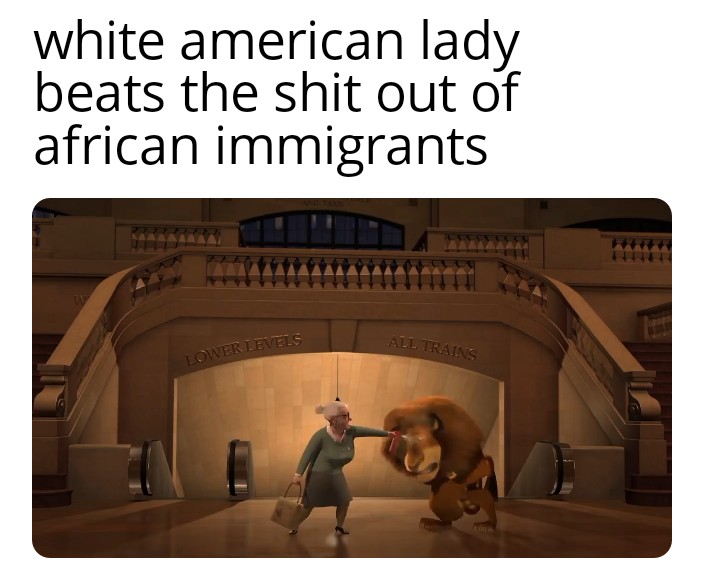 white american lady beats the shit out of african immigrants All Trains Lower Levels