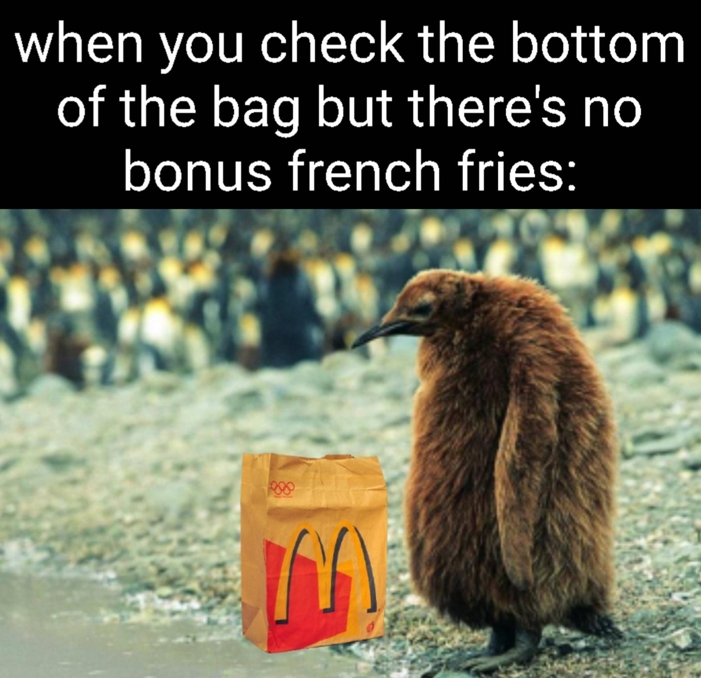 russian penguin meme - when you check the bottom of the bag but there's no bonus french fries M
