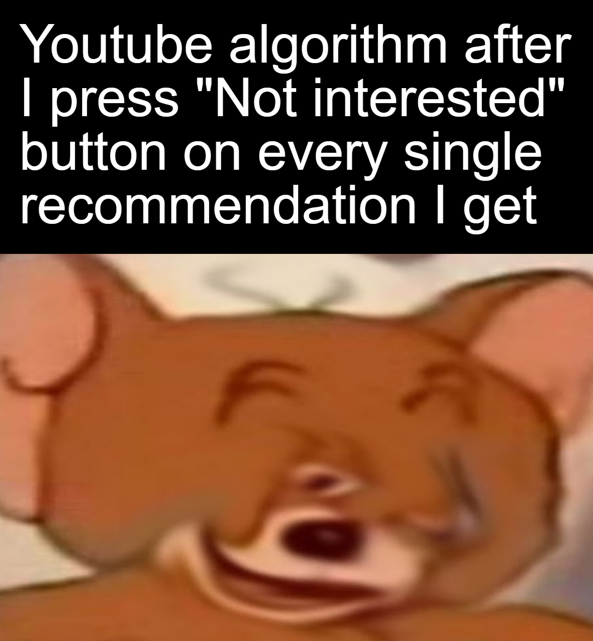cartoon - Youtube algorithm after I press "Not interested" button on every single recommendation I get